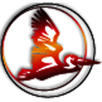 Логотип компании ЧП «Пеликан»